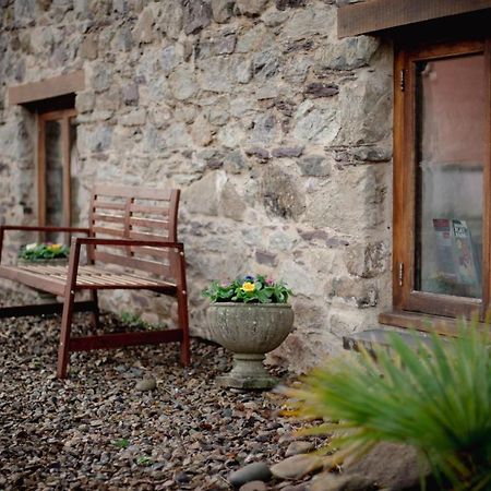Stunning Converted Granary In Heart Of St Davids Dış mekan fotoğraf